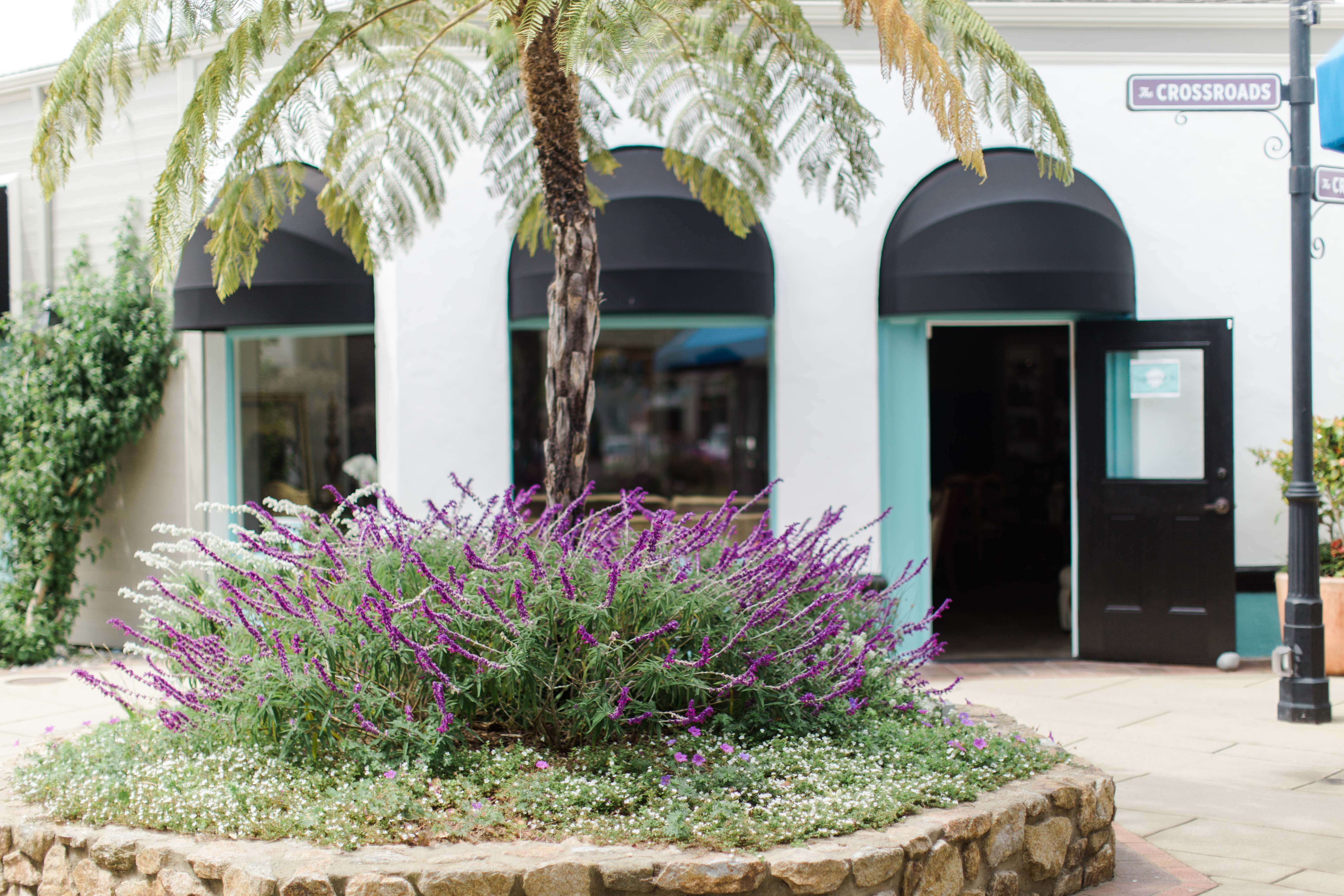 Consignment-By-The-Sea-Crossroads-Carmel-Furniture-Sale-Store-Monterey 