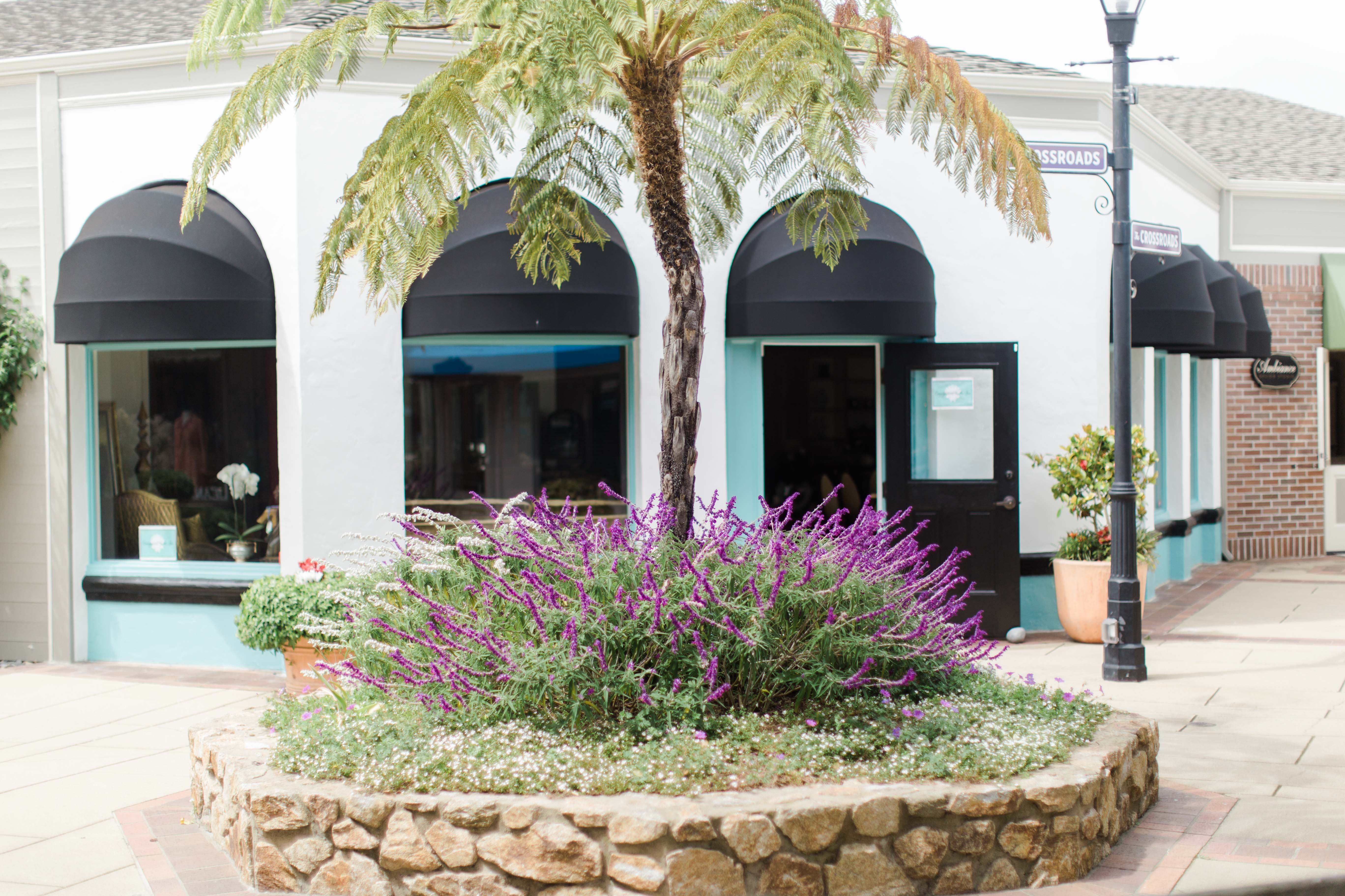 Consignment-By-The-Sea-Crossroads-Carmel-Furniture-Sale-Store-Monterey 